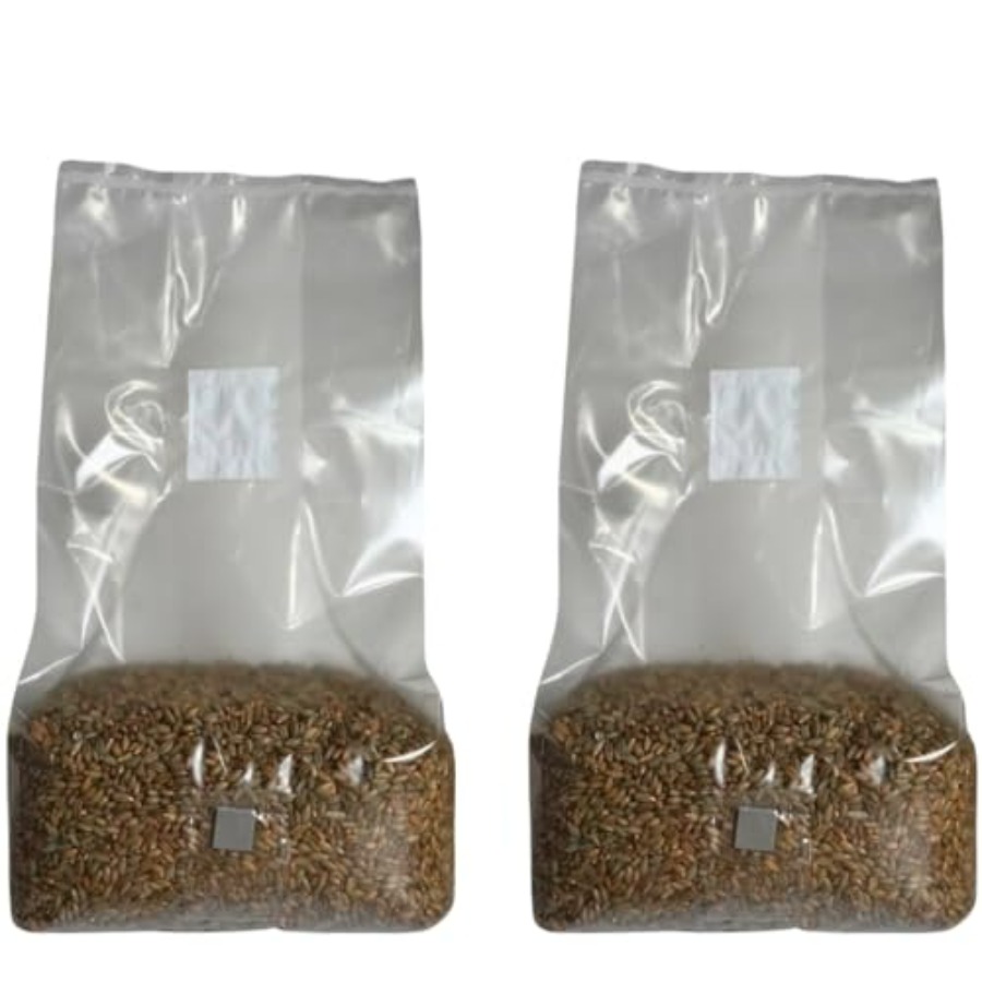 Mushroom Spawn Bag - 5lb Organic Sterile Mushroom Grain Spawn