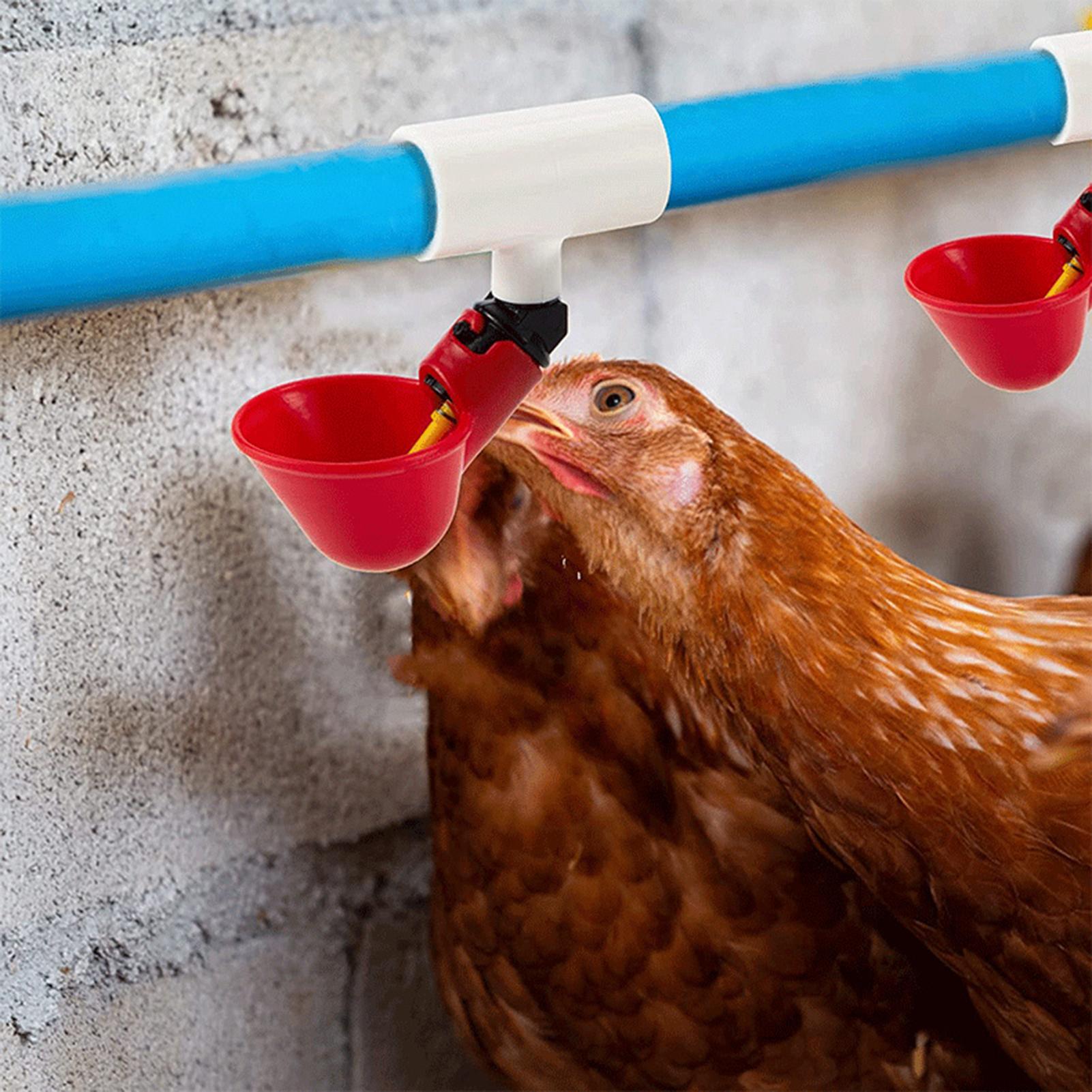 Chicken Drinker PVC Tee Fittin - Chicken Nipple Drinker recensie en prijs