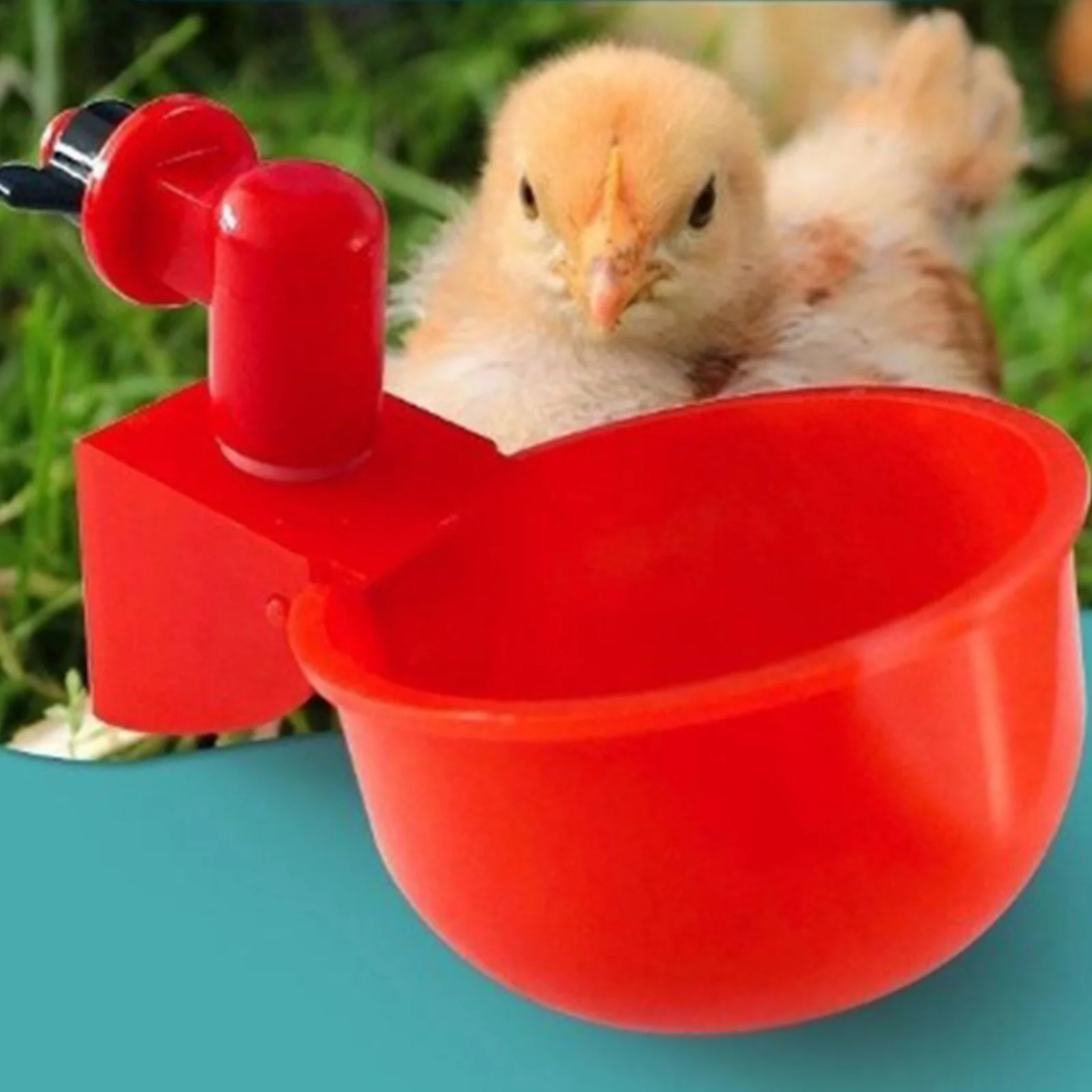 6-36Pcs Chicken Duck Drinking  - Chicken Nipple Drinker recensie en prijs