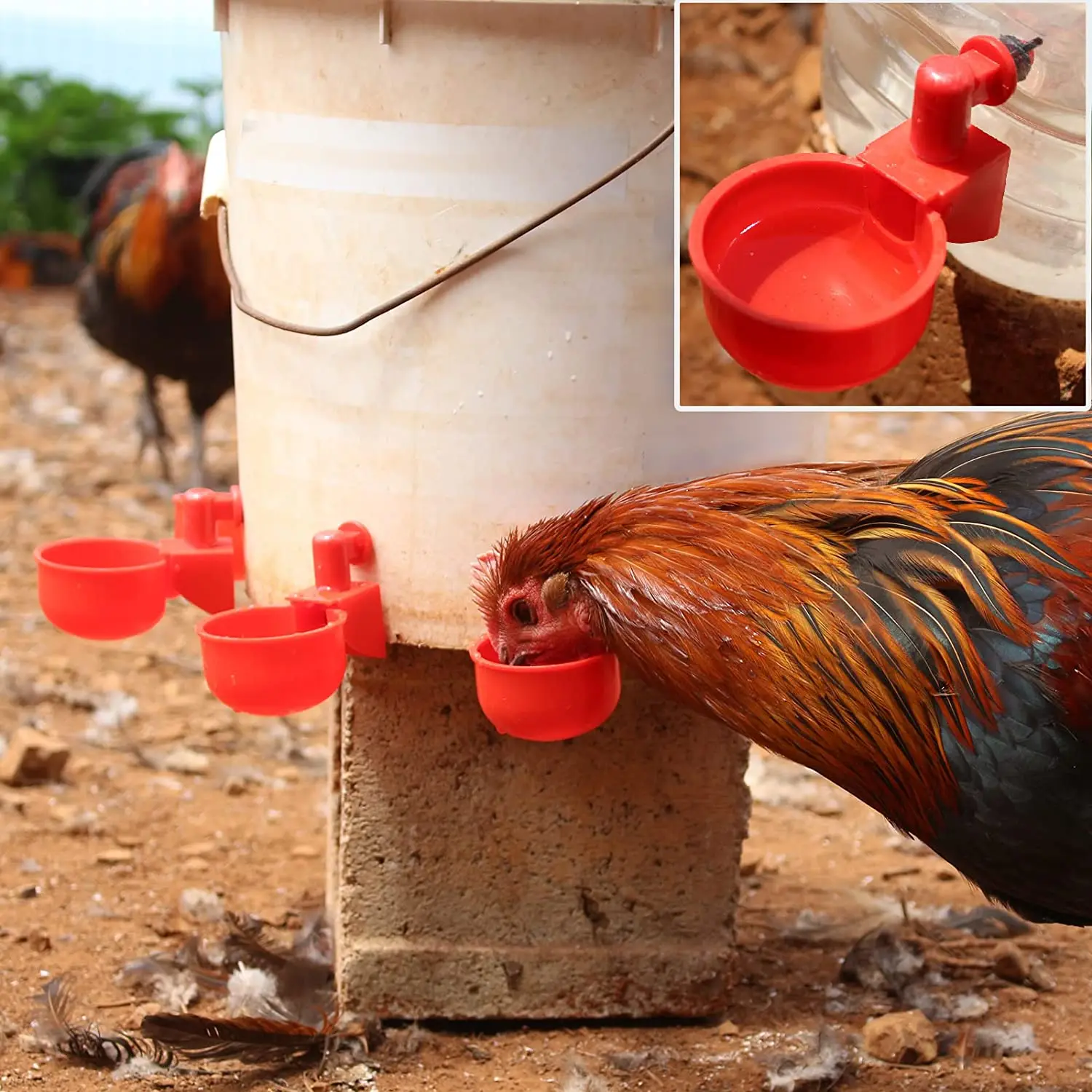 6-36Pcs Chicken Duck Drinking  - Chicken Nipple Drinker recensie en prijs
