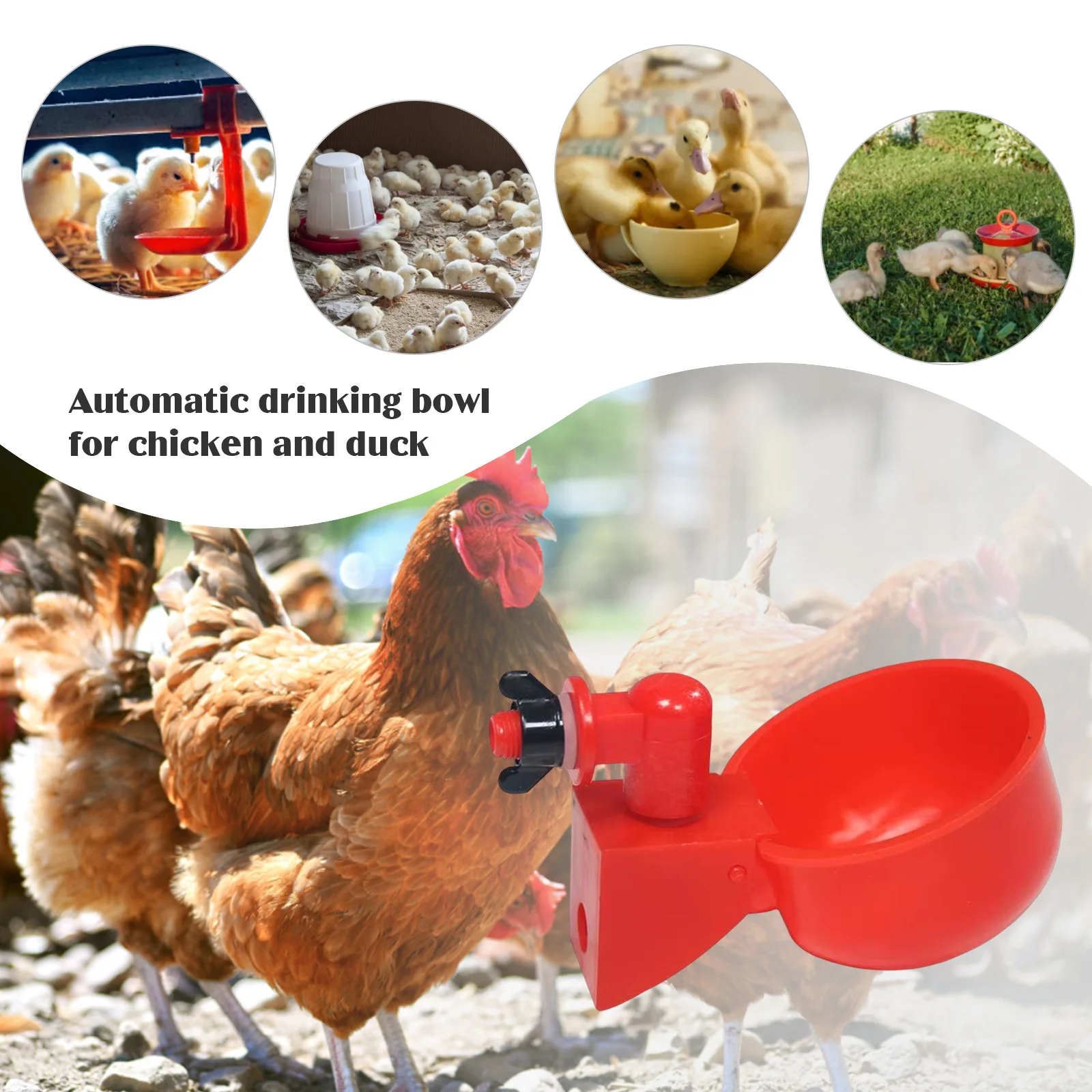 6-36Pcs Chicken Duck Drinking  - Chicken Nipple Drinker recensie en prijs