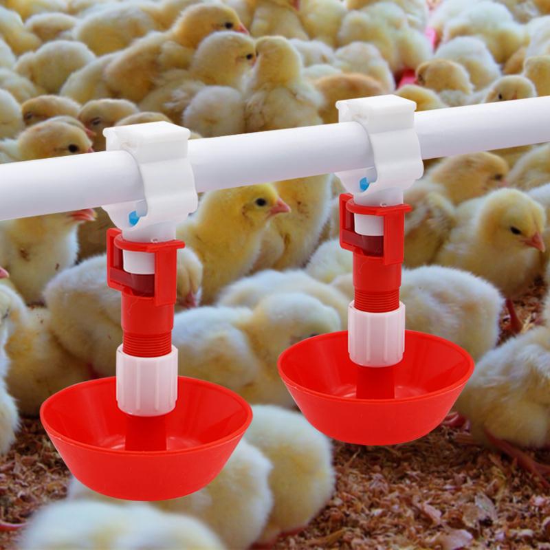 5/10/20 Pcs Automatic Chicken  - Chicken Nipple Drinker recensie en prijs