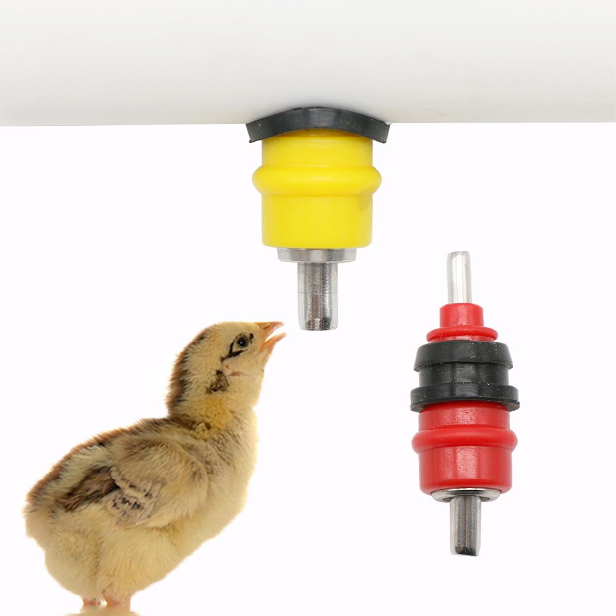 10 pcs Quail Pigeon Bird Water - Chicken Nipple Drinker recensie en prijs
