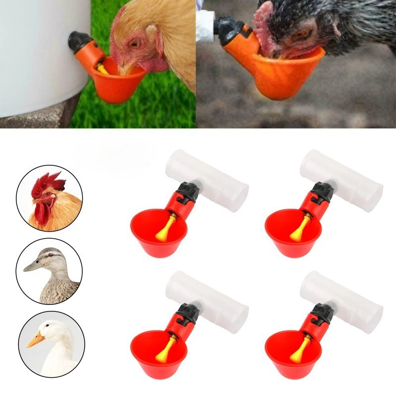 4Pcs Automatic Chicken Quail D - Chicken Nipple Drinker recensie en prijs