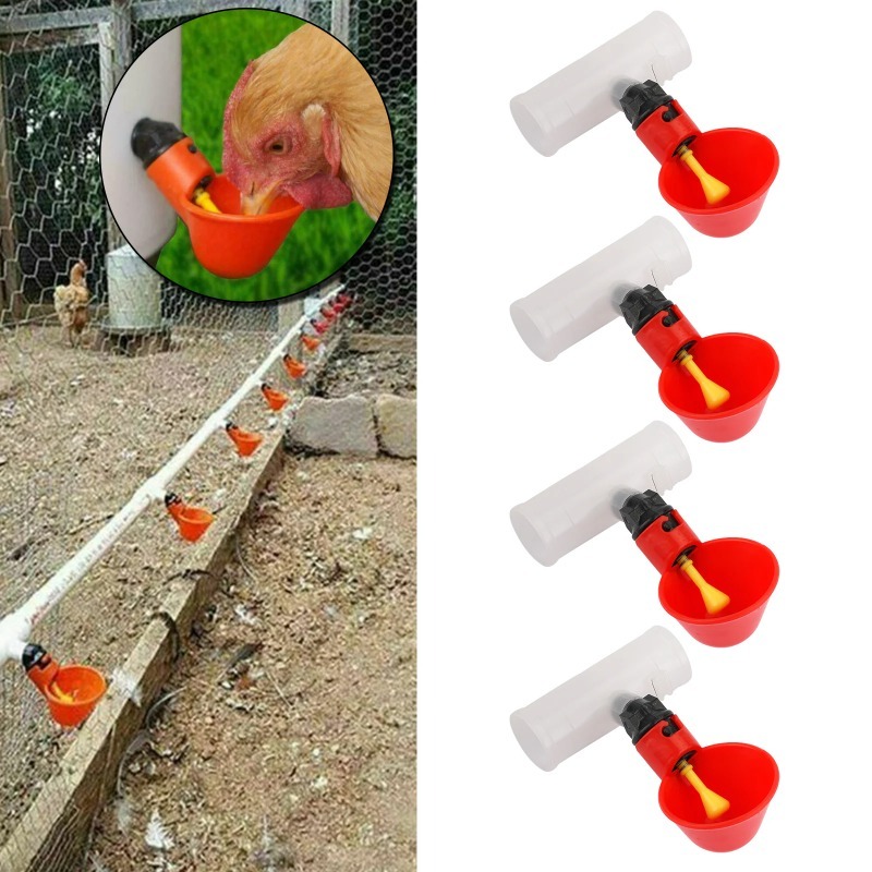 4Pcs Automatic Chicken Quail D - Chicken Nipple Drinker recensie en prijs