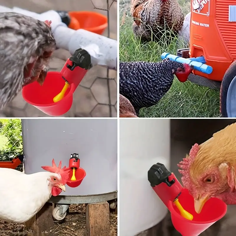 5/10/15Pcs Chicken Quail Hangi - Chicken Nipple Drinker recensie en prijs