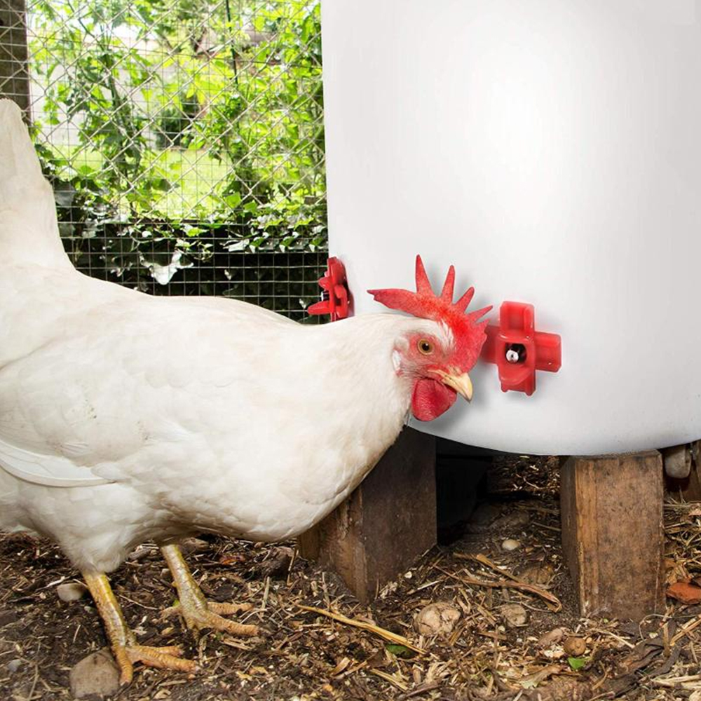 12 pcs Automatic Chicken Water - Chicken Nipple Drinker recensie en prijs