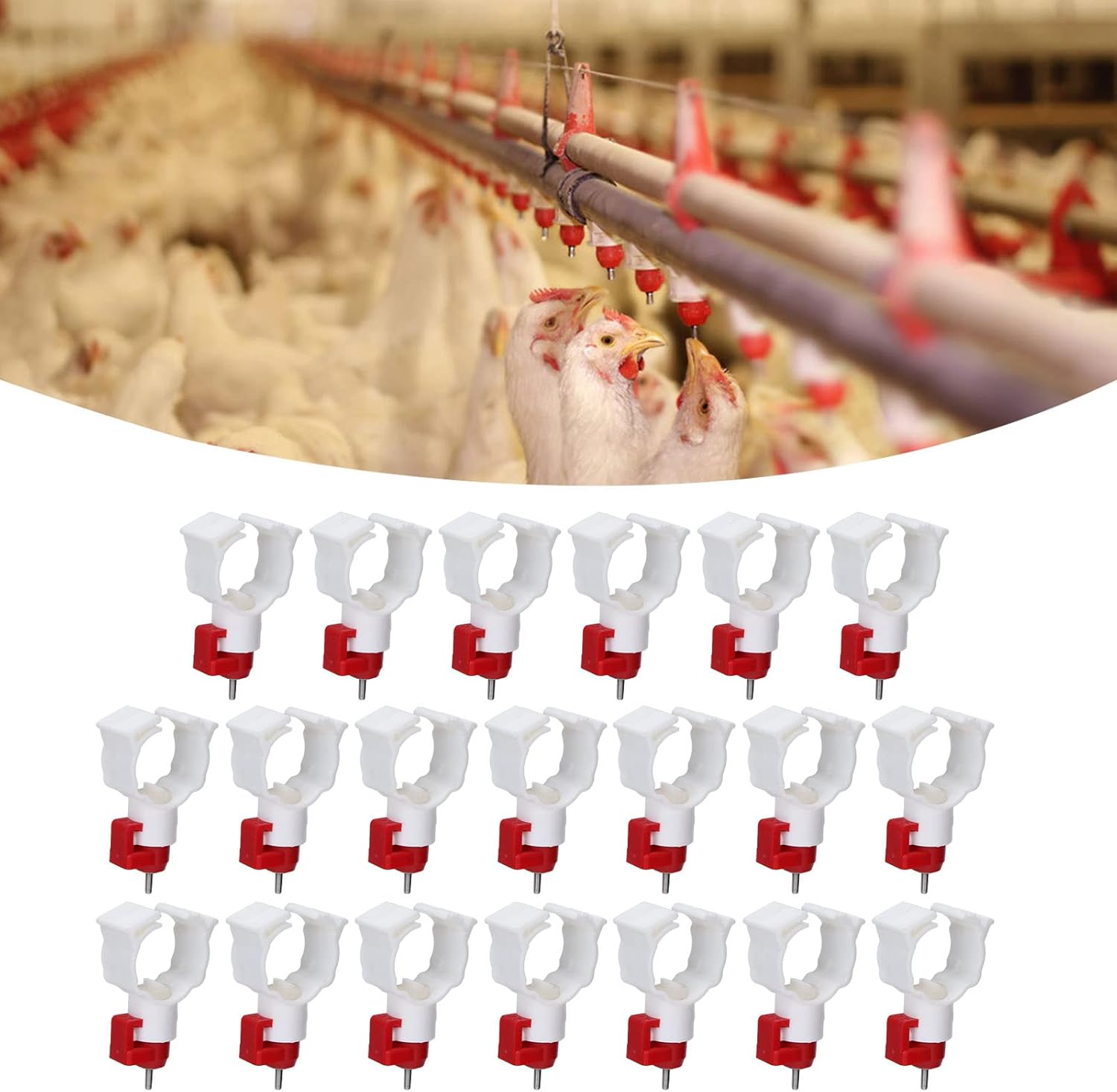 High Quality 20PCS Chicken Nip - Chicken Nipple Drinker recensie en prijs