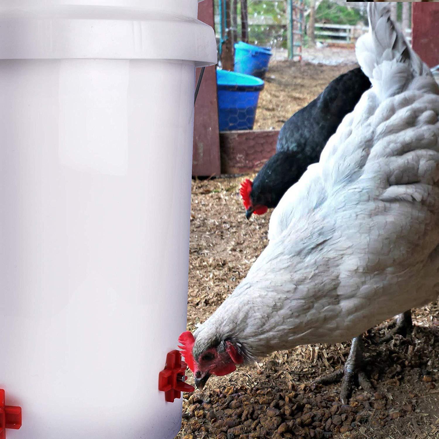 A84X-30Pcs Horizontal Side Mou - Chicken Nipple Drinker recensie en prijs
